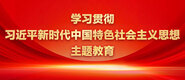 大鸡巴日小逼的h视频学习贯彻习近平新时代中国特色社会主义思想主题教育_fororder_ad-371X160(2)